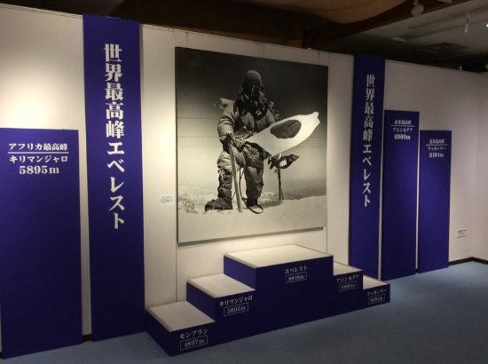 Uemura Museum Tokyo